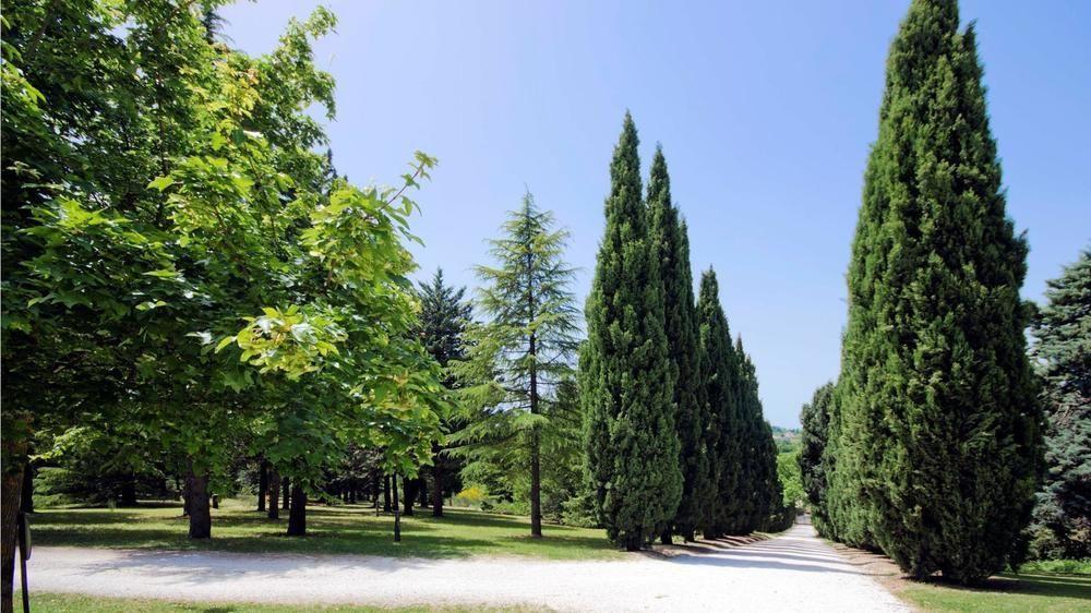 Convento Di San Francesco Mondaino Bed & Breakfast ภายนอก รูปภาพ