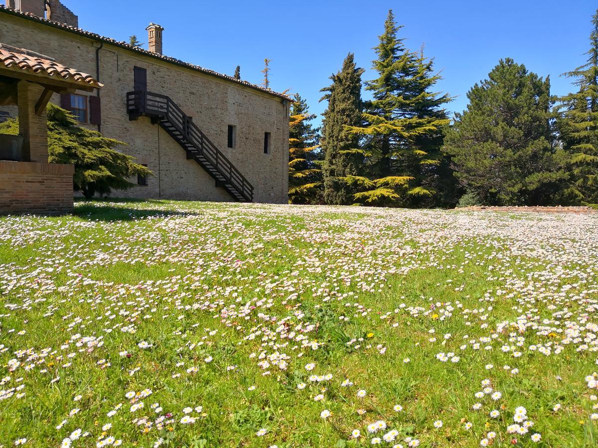 Convento Di San Francesco Mondaino Bed & Breakfast ภายนอก รูปภาพ